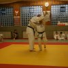 Judolehrgang Bodentechniken / SV / Treechallenge