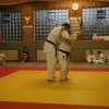 Judolehrgang Bodentechniken / SV / Treechallenge