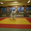 Judolehrgang Bodentechniken / SV / Treechallenge