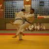 Judolehrgang Bodentechniken / SV / Treechallenge