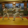 Judolehrgang Bodentechniken / SV / Treechallenge