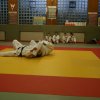 Judolehrgang Bodentechniken / SV / Treechallenge