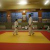 Judolehrgang Bodentechniken / SV / Treechallenge