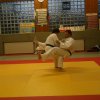 Judolehrgang Bodentechniken / SV / Treechallenge