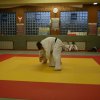Judolehrgang Bodentechniken / SV / Treechallenge