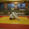 Judolehrgang Bodentechniken / SV / Treechallenge