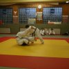 Judolehrgang Bodentechniken / SV / Treechallenge