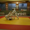 Judolehrgang Bodentechniken / SV / Treechallenge