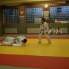 Judolehrgang Bodentechniken / SV / Treechallenge