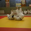 Judolehrgang Bodentechniken / SV / Treechallenge