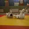 Judolehrgang Bodentechniken / SV / Treechallenge