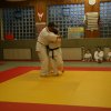 Judolehrgang Bodentechniken / SV / Treechallenge