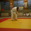 Judolehrgang Bodentechniken / SV / Treechallenge
