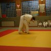 Judolehrgang Bodentechniken / SV / Treechallenge