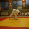 Judolehrgang Bodentechniken / SV / Treechallenge