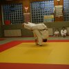 Judolehrgang Bodentechniken / SV / Treechallenge