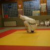 Judolehrgang Bodentechniken / SV / Treechallenge