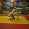 Judolehrgang Bodentechniken / SV / Treechallenge